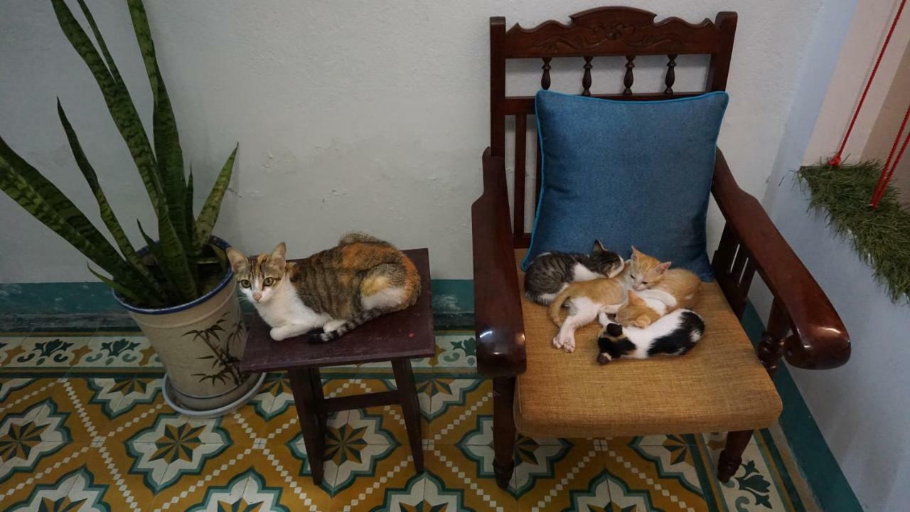 Nha Homestay Đà Nẵng Exterior foto