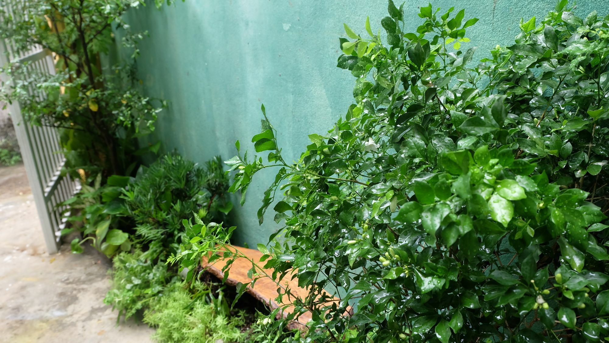 Nha Homestay Đà Nẵng Exterior foto